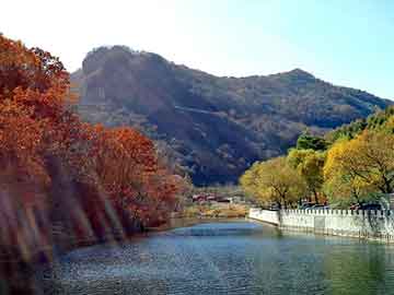 新澳天天开奖资料大全旅游团，微晶玻璃设备